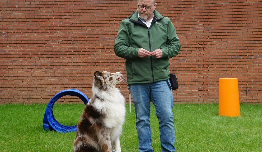 The Ultimate Guide to Pet Training Aids & Behavior Tools for Happier, Well‑Behaved Pets